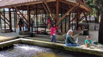 Selain Puncak, Ini 5 Lokasi Wisata di Bogor yang Bisa Jadi Alternatif Tujuan Libur Nataru
