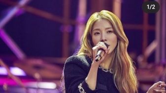 Profil BoA dan 6 Fakta Menariknya: Bintang Kpop yang Jadi Member Girls On Top