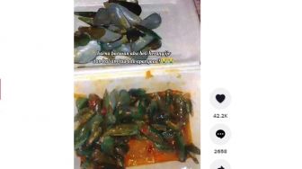 Makan Kerang Hijau, Perempuan Ini Lihat Penampakan Aneh di Dalamnya