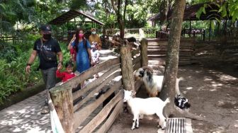 Libur Tahun Baru Kunjungan Wisatawan GL Zoo Meningkat, Pengelola Sebut Capai 5.000 Orang