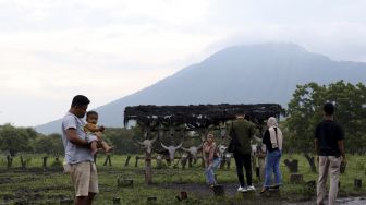 Wisatawan berfoto dengan latar belakang Savana Bekol di Taman Nasional Baluran, Situbondo, Jawa Timur, Sabtu (1/1/2022). [ANTARA FOTO/Budi Candra Setya]