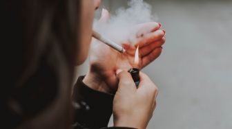RI Perlu Tiru Jepang Soal Produk Alternatif Tembakau, Bisa Kurangi Perokok?