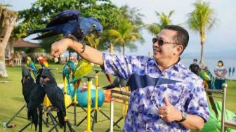 Bamsoet: Lomba Free Fly Burung Paruh Bengkok Digelar 25-26 Maret 2022