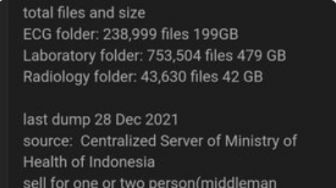Dugaan Kebocoran Data, Rumah Sakit Ungkap Data Medis yang Dilaporkan ke Kemenkes