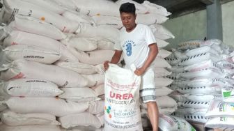 Petani Jember Menjerit Kurang Pupuk, Padahal Stoknya Berlimpah di Gudang Distributor