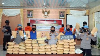 Polres Pasaman Barat Gagalkan Penyelundupan 56 Paket Besar Ganja dari Sumut