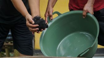 Unik! Warga Banjarnegara Barter Rambut Rontok dengan Perkakas Rumah Tangga