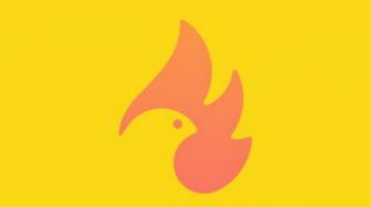 Tes Kepribadian Burung Atau Api: Ungkap Kelebihan Dalam Dirimu yang Tersembunyi