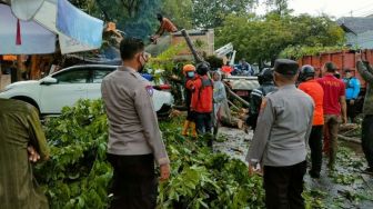 Pohon Tumbang Timpa Mobil di Semarang Usai Dihantam Angin Kencang