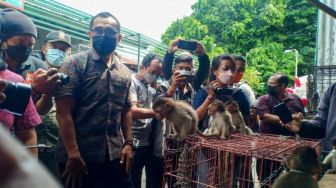 Penjual Hewan di Pasar Burung Satria Denpasar Kedapatan Jual Kera Ekor Panjang