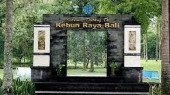 Kebun Raya Bali Menjadi Salah Satu Tempat Piknik Favorit Keluarga di Bedugul