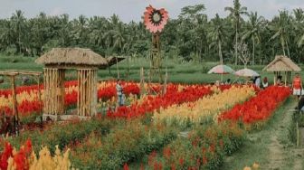 Sunflower Garden Belayu Tabanan Jadi Tempat Wisata Idola Anak Muda