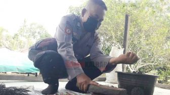 Polisi di Segedong Rela Menumbuk Biji Kopi, Gantikan Pekerjaan Pemiliknya