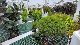 Unik, di Karawang Ada Area Ecopark Limbah Pabrik yang Bisa Jadi Lokasi Prewedding