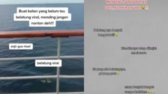 Link Video Viral Belatung Banyak yang Cari, Netizen: Plis Gue Udah Trauma Lihat Video Belatung