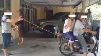 Viral Beredar Video Trik Kreatif Bapak-Bapak Kuliti Kambing Tanpa Ribet, Tuai Perdebatan