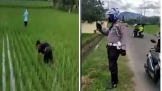 Diduga Takut Ditilang Polisi, 2 Pemuda Ini Pura-Pura Jadi Petani untuk Garap Sawah Orang Lain