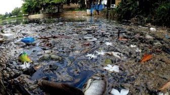 Setu Citongtut Bogor Tercemar Limbah Plastik dan Timbulkan Bau Tak Sedap