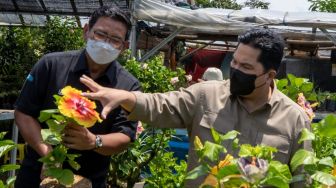 Dukung UMKM, BRI Berdayakan Klaster Tanaman Hias Desa Bunga di Lereng Gunung Arjuna