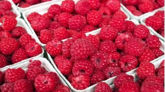 7 Manfaat Buah Raspberry bagi Kesehatan yang Jarang Diketahui, Baik untuk Jantung!