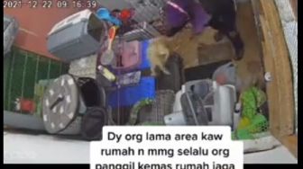 Bikin Publik Murka, Disuruh Jagain Perempuan Ini Malah Lempar Kucing ke Kandang dengan Keras