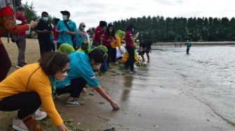 Puluhan Tukik Sisik Dan Lekang Dilepasliarkan di Pantai Sanur