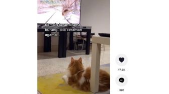 Beda Gaya Kucing Oyen Nonton TV, Tidur Kalau Tayangan Ceramah Agama