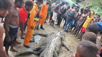 Warga Tombak Buaya Kali Ayuka, Muntahkan Potongan Tubuh Manusia