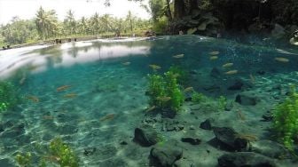 Kaliah Harus Datang ke 3 Lokasi Wisata Sumber Air Ciamik di Malang Ini