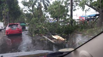 Hujan Badai Kepung Bogor Sore Ini, Pohon Hingga Baliho Besar Roboh Timpa Kendaraan
