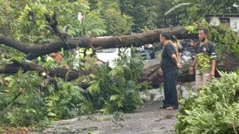 Hujan Lebat dan Angin Kencang di Bogor Akibat La Nina