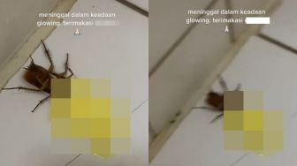 Viral Aksi Cewek Basmi Kecoa Pakai Skincare Mahal: Meninggal Dalam Keadaan Glowing