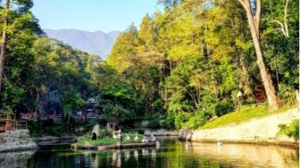 7 Penginapan Murah di Bogor, Ada yang Berlokasi di Hutan!