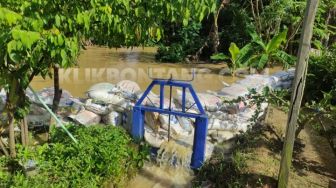 Wali Kotanya 'Dinas' ke Jatim, Warga RT 33 Api-api Bontang Bangun Turap Darurat dari Karung Pasir Buat Hadang Banjir