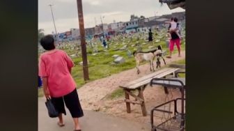 Viral Kuburan Jadi Lokasi Taman Bermain, Warganet Keheranan