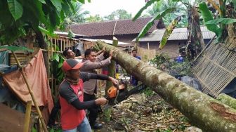 Pohon Tumbang Timpa 3 Rumah Warga di Gadingrejo Pringsewu