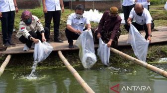 Kunjungi Kampung Lele Boyolali, Menteri KKP Beri Saran Penting