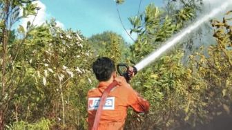 Kebakaran Hutan Kembali Terjadi di Bintan, Damkar Kewalahan Padamkan Lahan 1 Ha