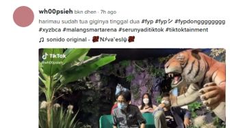 Gagal Menakuti Pengunjung, Viral Gigi Harimau KW di Wahana Bermain Malah Copot