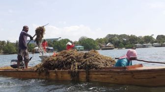 Dubes RI untuk Singapura Ingin Petani Lokal di Kepri Terapkan Teknologi Agrikultur 4.0