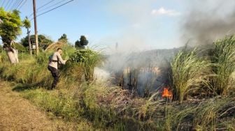 Mobil Damkar Rusak, Petugas Bahu-membahu Padamkan Kebakaran Lahan di Kijang