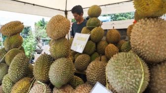 Pedagang menjajakan buah Durian saat Festival Durian di Mal Tamini Square, Jakarta Timur, Minggu (30/1/2022). [Suara.com/Alfian Winanto]