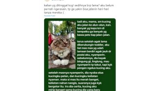 Bawa Kucing Jalan-jalan, Pemilik Bingung Lihat Pria Tahan Nangis saat Elus Kucingnya, Alasannya Bikin Mewek