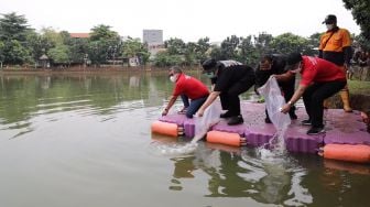 Peringati HUT ke-49 PDI Perjuangan, BMI Tanam 200 Pohon dan Penebaran Benih Ikan