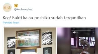 Viral! Ibunda Perlakukan Kucing Istimewa Layaknya Anak, Anak Asli Ketar Ketir, Publik: Coba Lihat KK