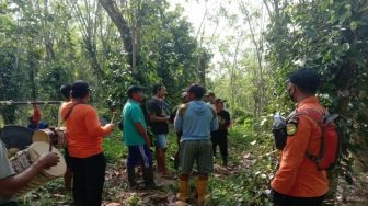 Enam Hari Hilang di Hutan, Petani Merica di Kolaka Timur Ditemukan Linglung