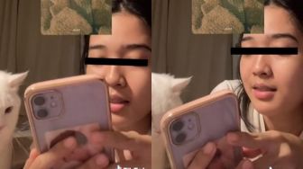Viral Kucing Ogah Nonton Jimin dan Suga, Ternyata 'Ngefans' Member BTS Ini