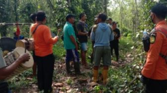 6 Hari Hilang Dalam Hutan Kolaka Timur, Begini Kondisi Ketut Wijaya Saat Ditemukan Tim SAR