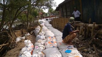 Puluhan Rumah Warga di Demak 'Diratakan' Ombak, Warga Minta Pemkab Bangun Talut!