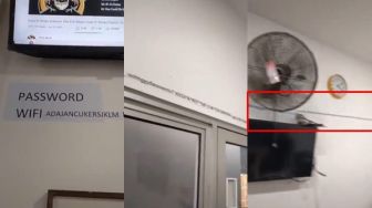 Niat Numpang Wifi, Pria Malah Bete Gegara Password Panjang Nembus Jendela